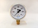 2" BRASS PRESSURE GAUGE 0-600PSI