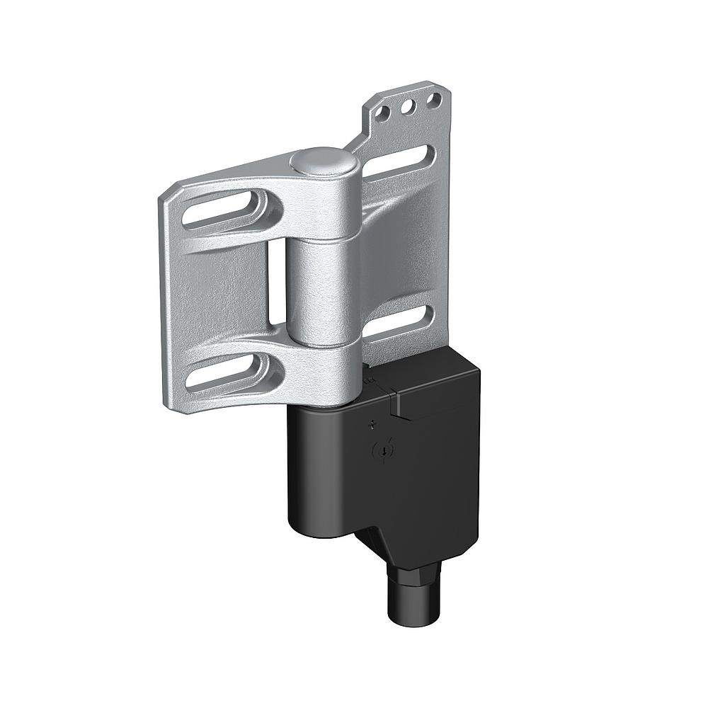 Hinge Safety Interlock Switch, SI-HGZ63FQDR