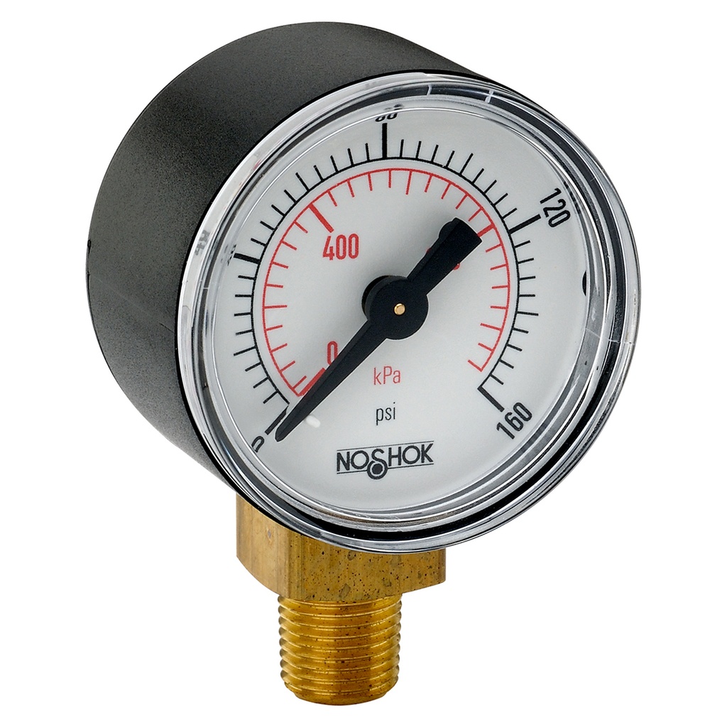 100 Series Pressure Gauge, 0 psi to 100 psi