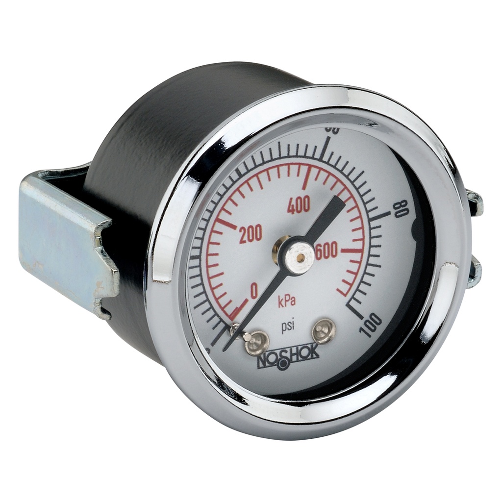 100 Series Pressure Gauge, 0 psi to 160 psi