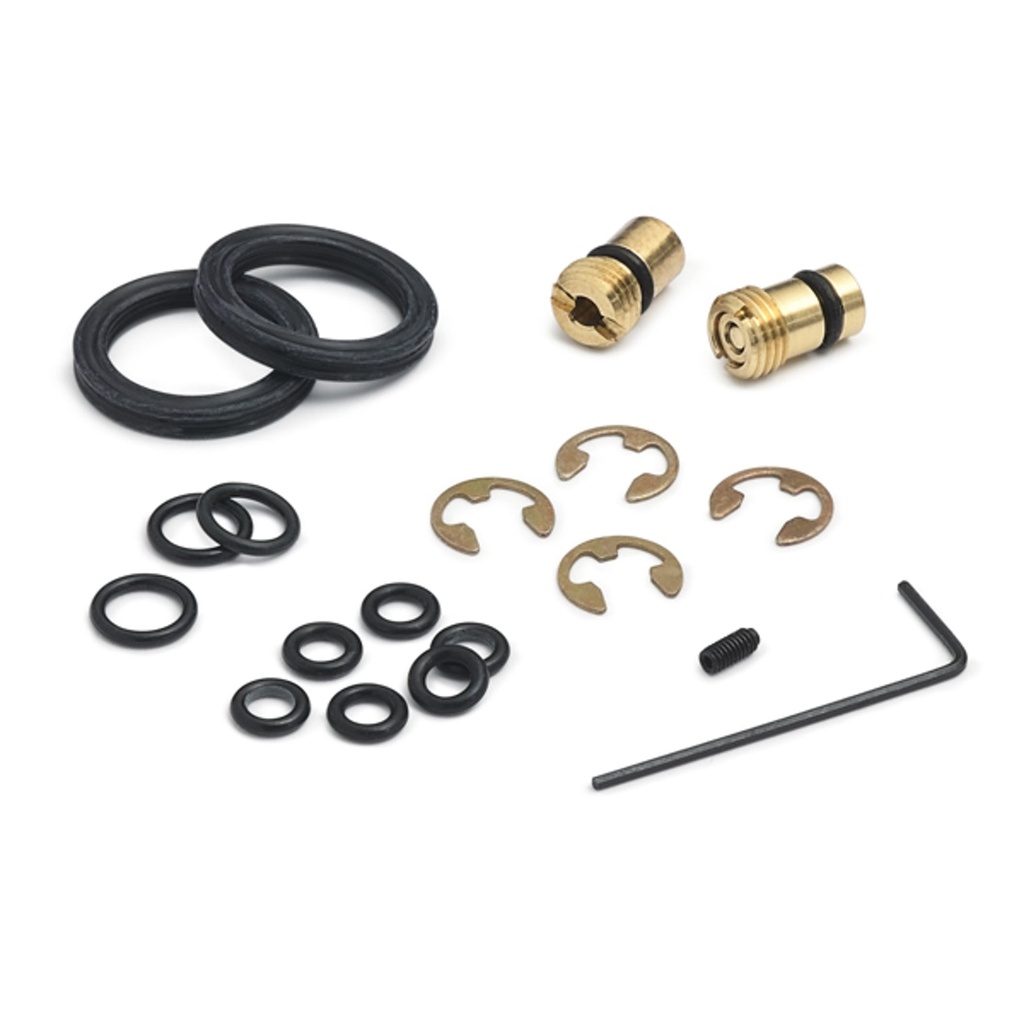 DPPV Pumps Repair Kit