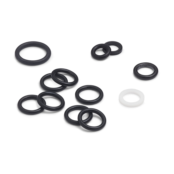 Ralston QTCM Repair Kit