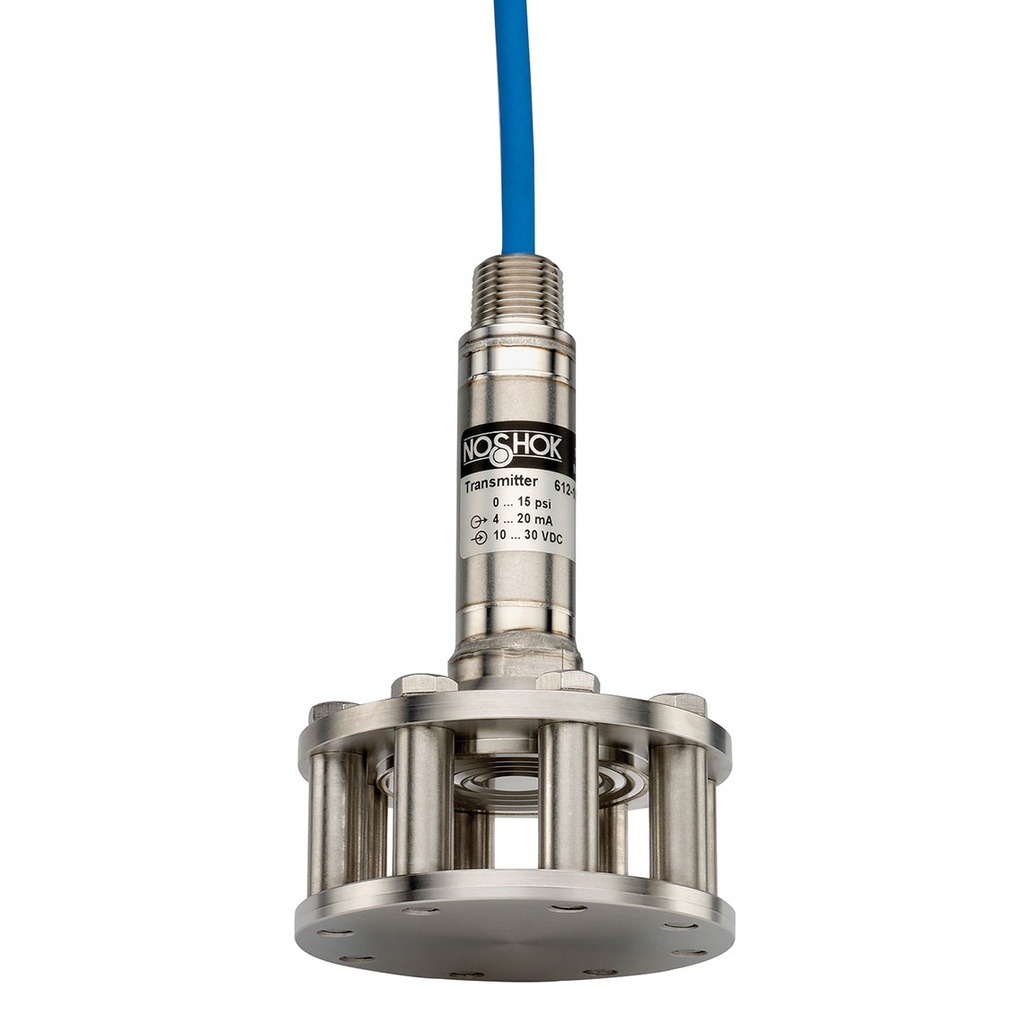 613 Series Cage-Protected Submersible Level Transmitter, 0 psi to 10 psi, 15' Std PUR Cable