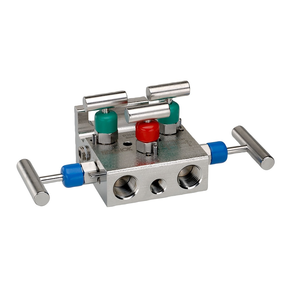 5030 Series 5-Valve Natural Gas Manifold Valve, Hard Seat, 1/2" NPT Female x 1/2" NPT Female, 316 SS, 0.187" Orifice