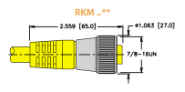 TURCK RKM 66-2M, Cord,7/8"minifast